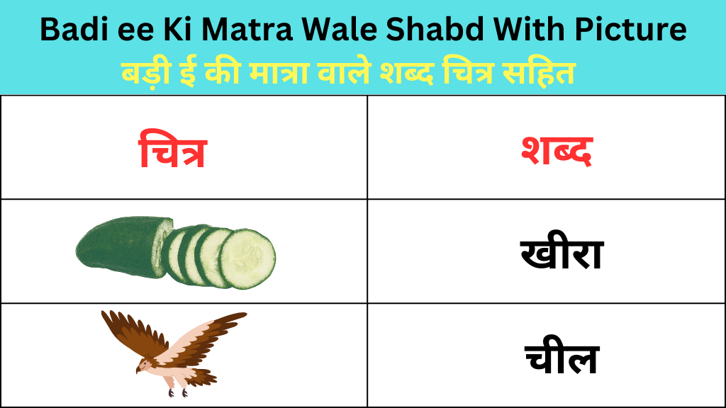 बड़ी ई की मात्रा वाले शब्द चित्र सहित – Badi ee Ki Matra Wale Shabd With Picture